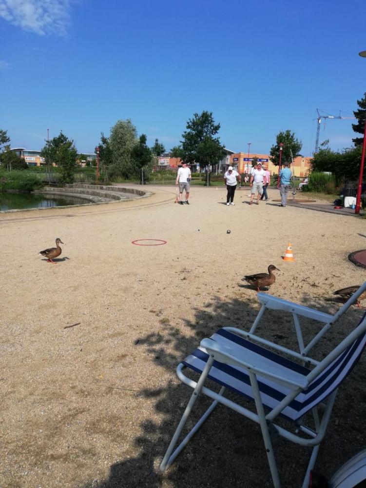 IMG-20210725-WA0031-2